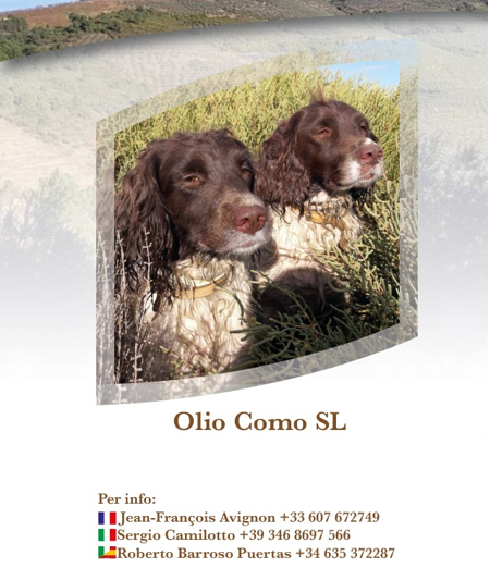 Chasse de la grive en Espagne